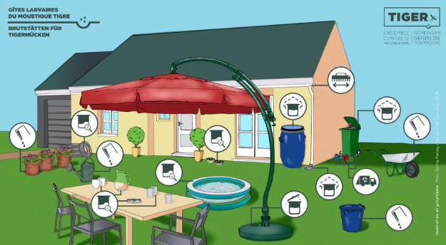 Tigermücke Checklist